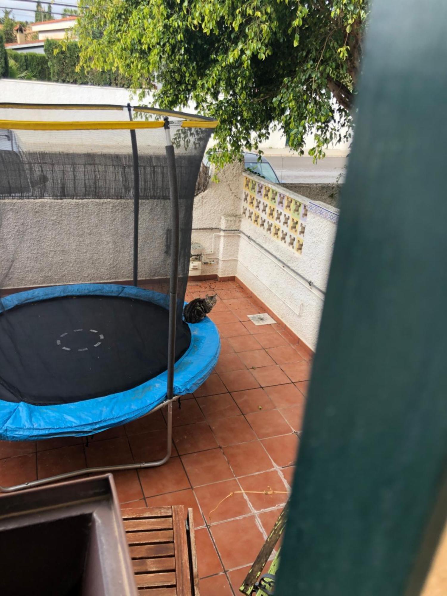Casa En La Huerta De Mutxamel Villa Kültér fotó